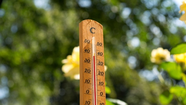Temperatur am Arbeitsplatz: Arbeitsrecht kennt kein Hitzefrei | Markt&Technik